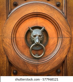 Wolves At The Door Images Stock Photos Vectors Shutterstock