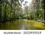 DORA CANAL  FLORIDA USA 2021