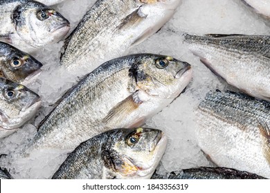 Dorada On Ice In A Store. Fresh Fish In A Supermarket