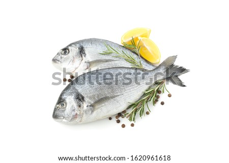 Dorado fishes, lemon, rosemary and pepper isolated on white background