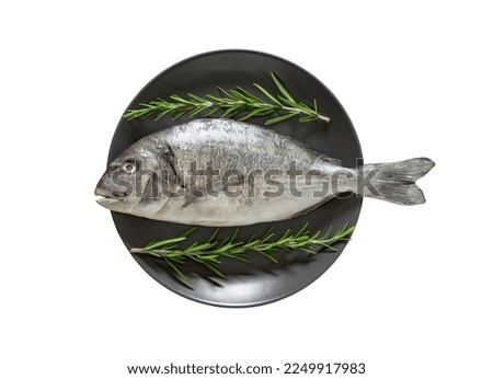 Dorado, raw fresh uncooked fish, rosemary, on gray plate, isolated on white background with clipping path