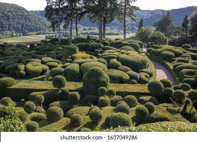 Dordogne, France - September 3, 2018:  Topiary in the gardens of the Jardins de Marqueyssac in the Dordogne region of France