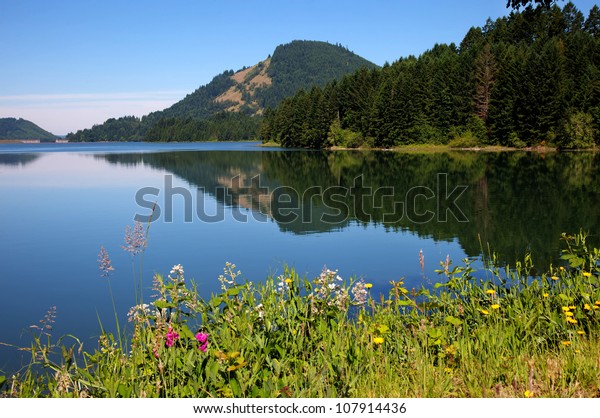 Dorena Reservoir On Still Morning Near Stock Photo Edit Now