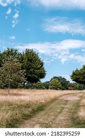 Dorking Surrey Hills London UK, July 24 2022, Dry Grass And Trees Countryside Heatwave Under Blue Summer Sky