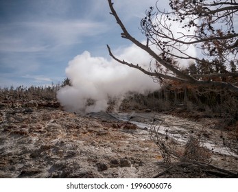 Dormant Steamboat Geyser In Yellowstone