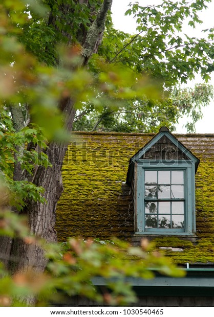 Dormer Window Moss Covered Roof Old Stock Photo Edit Now 1030540465