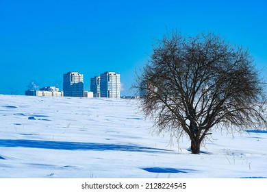 Dormitory Area In Chehov, Moscow Region, Russia In Winter