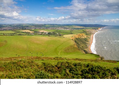 Dorset Countryside And Coastline