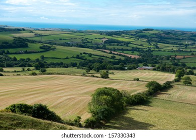 Dorset Countryside ,England