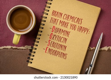 DOSE - Dopamine, Oxytocin, Serotonin And Endorphins, Four Brain Chemicals That Make You Happy, Handwriting In A Sketchbook With A Cup Of Coffee, Chemistry And Physiology Concept