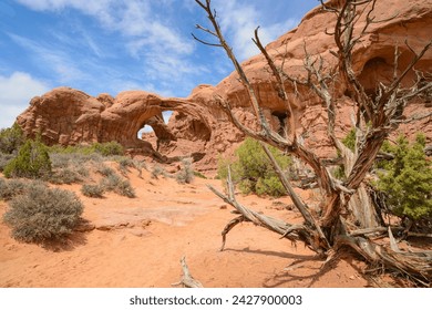 Double arch, windows section, arches national park, utah, united states of america, north america