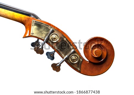 Double bass head with mechanics isolated on white background