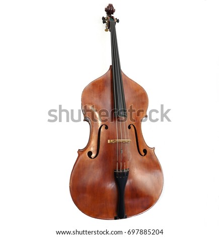 The double bass made in Italy