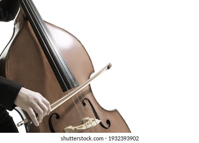 Double Bass Player. Hands Playing Contrabass String Musical Instrument