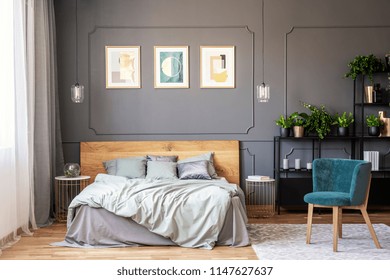 Double bed with grey bedding and wooden headboard standing in dark bedroom interior with window with drapes, gold posters on the wall with wainscoting and fresh plants placed on metal rack