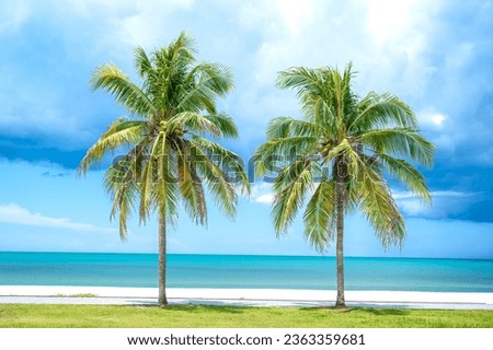 Double coconut palm trees on green lawn in front of empty white beach, turquoise sea water, and cloudy blue sky