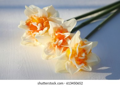 Double daffodils on a light background.