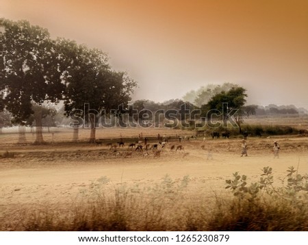 Similar – tomb old trees cows