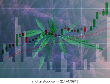 Double exposure of Cannabis business with marijuana leaves and stock graph charts on stock market exchange trading.The concept of a company marijuana exports for medical or use for stock.