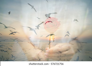 Double exposure of a girl with the rose and nature sunset
