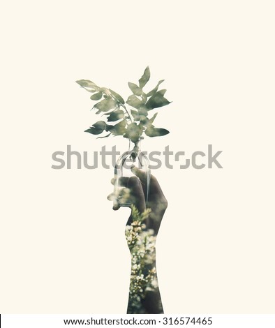 Double exposure with hand holding glass jar with branch plant