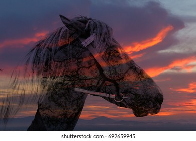 Double exposure of a horse and trees on sky sunset - Shutterstock ID 692659945