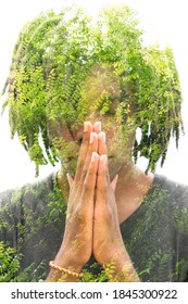 Double Exposure Portrait Of A Young Man With Leaves On White Background