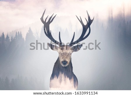 Similar – Image, Stock Photo no a Hirsch Nature Animal