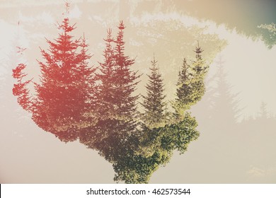 Double Exposure Forest Images, Stock Photos & Vectors | Shutterstock