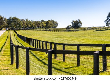 Double Fence At Horse Farm. Country Summer Landscape.