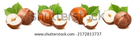 Double hazelnut set isolated on white background. Nuts with green leaves. Package design element with clipping path