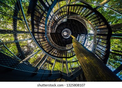 Double Helix Staircase To The Tree Top