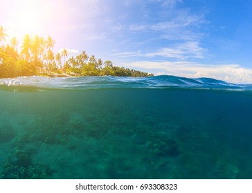 Double Landscape With Blue Sea And Sky. Seascape Split Photo. Double Seaview.  Underwater Coral Reef. Above And Below Waterline. Exotic Seashore. Coral Reef And Green Island Beach. Tropical Paradise