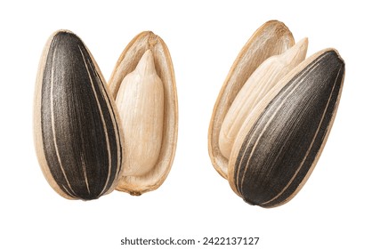 Double open sunflower seeds isolated on white background. Vertical layout. Package design element with clipping path