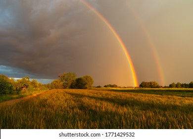 A double rainbow against a dark cloud over a meadow, summer view - Shutterstock ID 1771429532