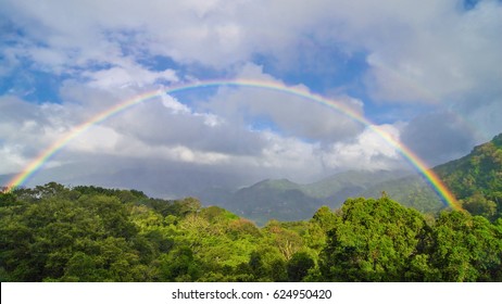 Double rainbow, clouds, and tropical forest background in Boquete, Panama. - Shutterstock ID 624950420