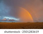 Double Rainbow Over a Field. Stormy Clouds on Sunset Light. National Find a Rainbow Day, World Rainbow Day. International LGBT Pride Day