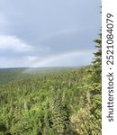 Double rainbow over mountain forest 