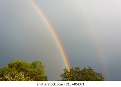Double rainbow over the trees.
