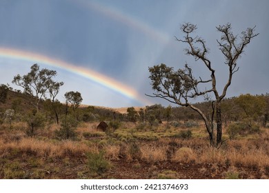 Double rainbow over trees in Karijini National Park, Western Australia. Beautiful rainbows in the outback. Bushland and trees in front of a dark cloud sky with multiple rainbows in the background. 