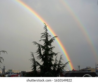Double rainbow with tree outside