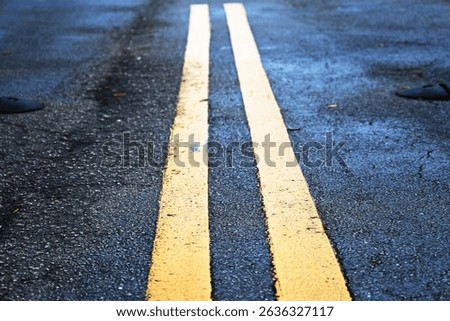 Double solid yellow line on center of road