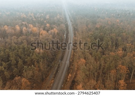 Double train tracks through dark woodland scenery