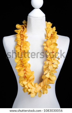 Double Yellow Hawaii flowers lei necklace made from Yellow Mokara orchid flower on Mannequin with studio black background. 