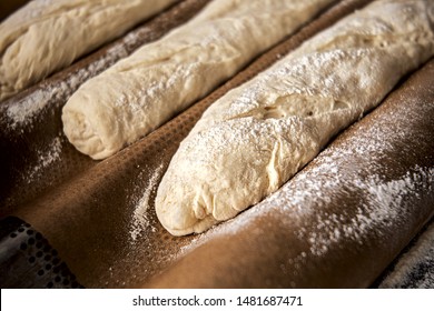 Dough For Baguettes In Perforated Channel Pan