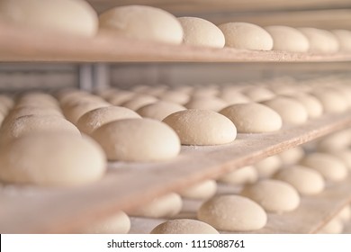 Dough. Bread dough. Fresh raw dough in product line - Powered by Shutterstock