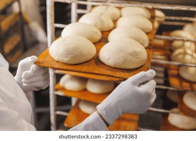 Dough for fresh bread before baking in oven. Automated bakery production line, food industry. - Powered by Shutterstock