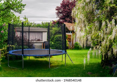 Dough trampoline in the garden near the flowering wisteria. - Shutterstock ID 1968540148