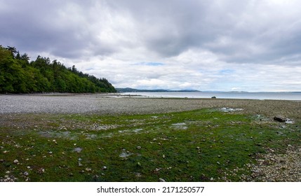 Douglas Beach Panorama In Vancouver Island