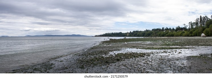 Douglas Beach Panorama In Vancouver Island